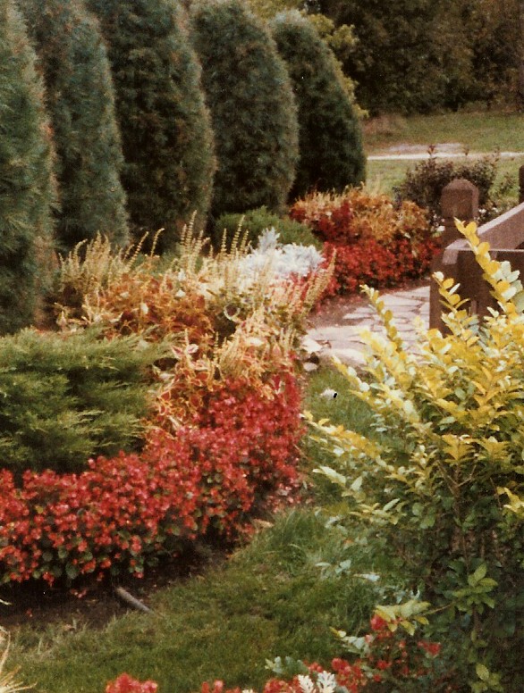 Landscaping