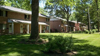 brentwoododd